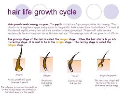 The individual amino acids are held together by polypeptide bonds, and there are multiple other complex bonds involved. Hair Structure Growth Hair Structure Hair Growth Hair