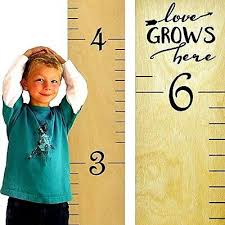 Nob Growth Chart Art Wooden Ruler Height Chart For Kids Naked Birch Black Let 769923984100 Ebay