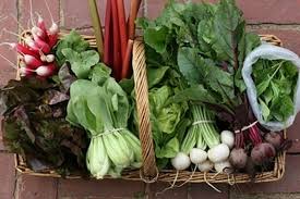 Csa works with the people of stanislaus county to help with a safe place to live, access to food, health care, and opportunities to work. 31 Things To Do With Confusing Csa Vegetables