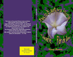 Image result for Datura inoxia