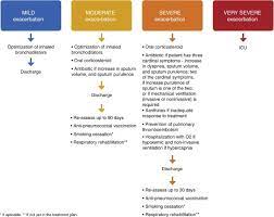 Most patients have mixture of both. Copd Exacerbations Management And Hospital Discharge Sciencedirect