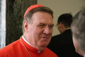 American cardinals reflect after Pope's anti-division comments