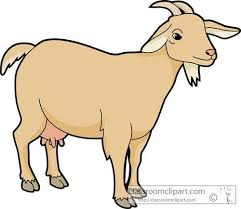Baby Goat Clipart Black And White Click To View Clipart Panda Free Clipart Images Goat Art Goat Picture Cute Goats