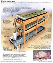 Belajar Bareng Aquaponik Diy Aquaponik