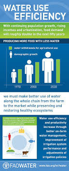 Water Use Efficiency Cool Things To Make Save Earth Infographic