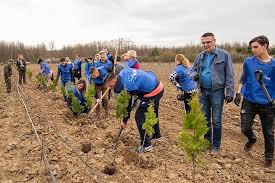 Ocolul silvic satu mare suferă pierderi financiare majore din cauza societăţii carpatine ardelene (eke). Voluntarii Alde Satu Mare In Frunte Cu Liderul Ovidiu Silaghi Au Plantat Copaci La DorolÈ