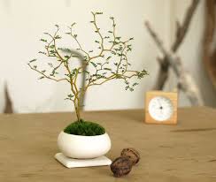 道草michikusaさんの作品一覧 small plants planting flowers plants