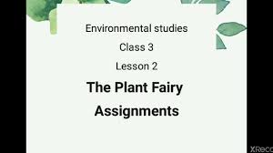 3 evs ncert solutions in pdf for free download on our website. Class 3 E V S Chap 3 The Plant Fairy Assignments Youtube