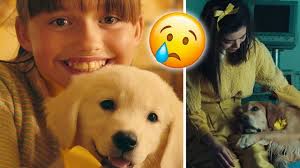 نتیجه جستجوی لغت [happier] در گوگل