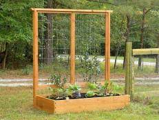 Cucumbers are pretty easy going plants without strong likes or dislikes, though there are three plants that stand out: How To Build A Trellis For Gourds How Tos Diy