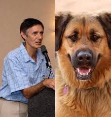 Utah Animal Torture a Felony