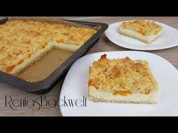 Tortenguß klar mit dem aufgefangenen saft nach packungsanleitung zubereiten und auf dem kuchen verteilen. Mandarinen Quark Streuselkuchen Wahnsinnig Einfach Lecker Youtube