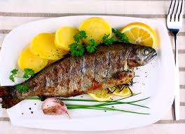 Himalayan Trout