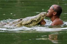 Buaya besar mewakili masalah yang cukup dekat, buaya kecil mewakili masalah dari masa lalu. Lingkaranmisteri Arti Mimpi Dan Makna Melihat Buaya Menurut Para Ahli Dan Agama Islam Lengkap