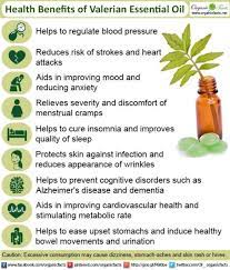 Pin On Mindful Essence