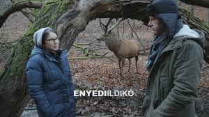 Ne telne el nap, hogy ne kerülne szóba enyedi ildikó, valamint új, oscar esélyes alkotása. Enyedi Ildiko Filmje Igy Teljesitett Az Oscaron A Testrol Es Lelekrol Lecsuszott A Dijrol Hazai Sztar Femina