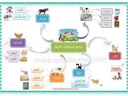 بحث حول التنقل عند الحيوان مدرستنا peanuts comics comics