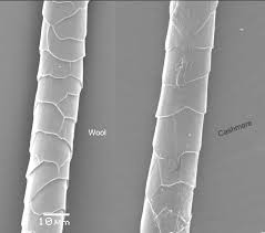 Use the form below to review and comment on your experience. Https Www Sgs Com Media Global Documents Third 20party 20documents Third 20party 20technical 20and 20research 20papers Tp M25 Fibre 20type 20discrimination