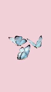 Sommerfugl Deles Af Alinka Pa We Heart It Simple Iphone Wallpaper Cute Wallpaper Backgrounds Butterfly Wallpaper
