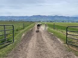 Earl Creech (@USUCropGuy)