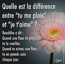 Quelle Est La Difference Entre Tu Me Plais Et Je T Aime Citations Et Pensees Positives Les Mots Positifs Com