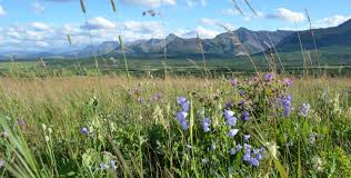 Clean, healthy watersheds depend on an informed public to make the right decisions when it comes to the environment and actions made by the community. Benefits Of A Healthy Watershed Oldman Watershed Council