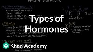 Types Of Hormones Video Khan Academy