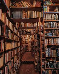 Armchair Books Edinburgh Congrats Sheautumnwolf Use Map Of Europe Secondhand Books Dream Library Library Inspiration