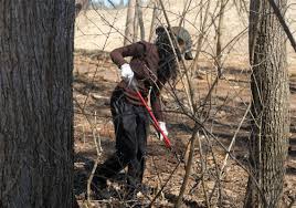 Want to volunteer in united states? New Season Means Invasive Species Removal At Metroparks The Blade