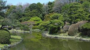 Koishikawa Botanical Garden Tokyo Travel Chicago Botanic Garden Botanical Gardens