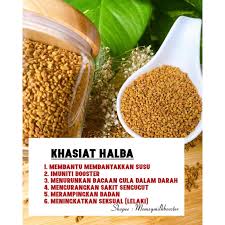Antara kelebihan & khasiat teh halba dari kajian perubatan. Biji Halba Fenugreek Seed Milk Booster Shopee Malaysia