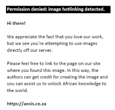 Image result for Afrosolen setifolius