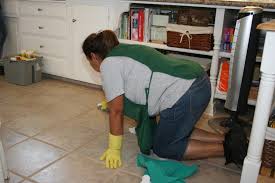 Maybe you would like to learn more about one of these? What To Expect Mini Mops House Cleaning