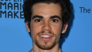 Für den streifen kindsköpfe standen adam und cameron gemeinsam vor der kamera. Erster Todestag Familie Freunde Erinnern An Cameron Boyce Promiflash De