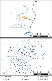 Brazil won independence without a war. Land Based Station Studies Of Aquatic Mammals In Latin America Understanding Behavior For Conservation Springerlink