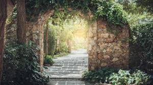 Ideen für mehr sichtschutz im garten. Naturlicher Sichtschutz Durch Efeu Bei Freizeit Haus