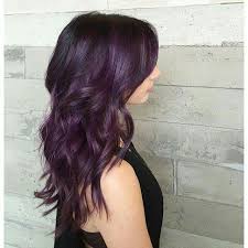That S The Perfect Natural Purple Hair Color Plum Dark Purple Hair Plum Hair