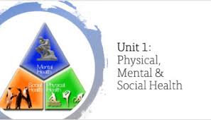 My personal health triangle 2. Health Triangle Lesson Worksheets Teaching Resources Tpt