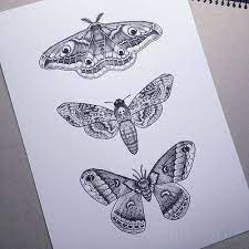 Discover And Share The Most Beautiful Images From Around The World Moth Tattoo Design Moth Tattoo Tattoos