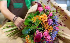 Oranje blumen ist eine deutsche florist mit sitz in saarbrücken, saarland. Blume 2000 Heidelberg In Heidelberg 69117 Hauptstrasse 74 Meinestadt De Telefonnummer Adresse