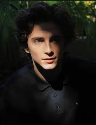 Pin By Grass On Timtim Timothee Chalamet Beautiful Boys The Best Films