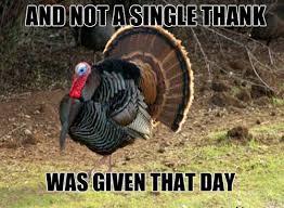 You and me in the jungle, 2006. Selfish Ungrateful Turkeys Thanksgiving Pictures Funny Thanksgiving Memes Happy Thanksgiving Memes