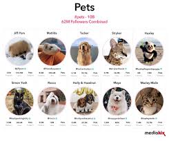 The Top Tiktok Influencers Most Followed Upcoming Categories