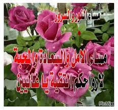 desertrose مساء النور والورد المنثور night good evening good night
