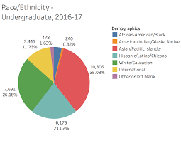 Diversity Equity Inclusion Strategic Vision Data Appendix