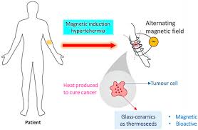 Ein gerüst, einen kiosk, eine baracke aufstellen ein bett, eine falle in der kammer, im keller aufstellen ein notenpult, eine tafel, staffelei, ein denkmal. Zuge Synonym