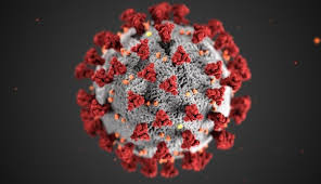 Dhhs has worked to ensure that inclusion, transparency, and a. First Second Vaccine Dose Administrations Continue Unmc