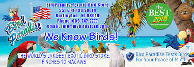 Maybe you would like to learn more about one of these? Exotic Bird Paradise Pet Bird Supplies Birdparadise Biz