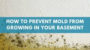 Removal & killing, remediation & cleaning, preventing, causes such as floods & leaks, signs such as smell & damp, mold on walls. How To Prevent Mold From Growing In Your Basement