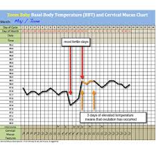 65 Prototypal Ovulation Record Chart